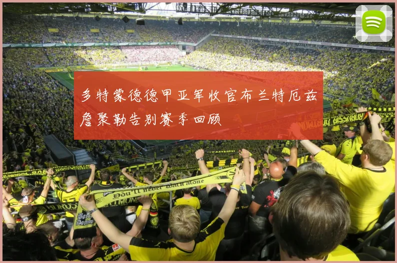 多特蒙德德甲亚军收官布兰特厄兹詹聚勒告别赛季回顾
