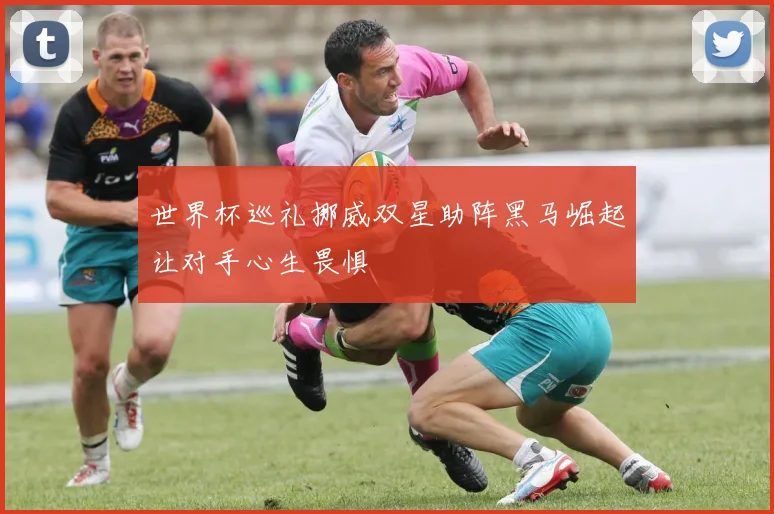 世界杯巡礼挪威双星助阵黑马崛起让对手心生畏惧
